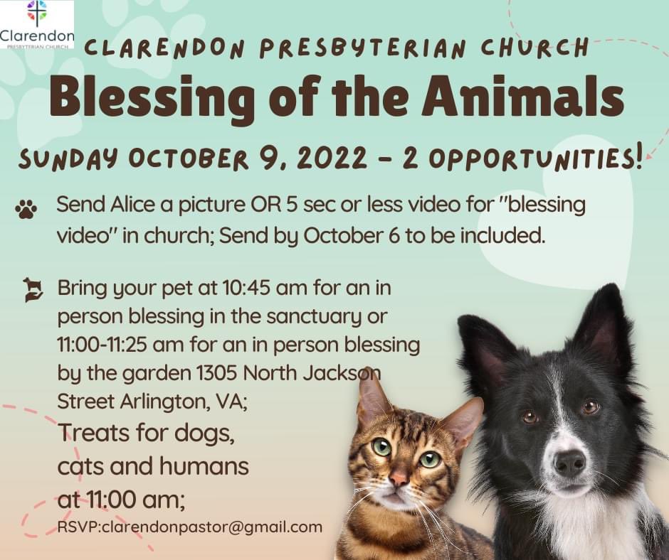 WeeKirk_CPC's tweet photo. Blessing of the Animals -- this upcoming Sunday October 9! 2 opportunities!  #1: In person in the sanctuary at 10:45 am; Outside near the garden at 11:00 am;
Treats for cats, dogs and humans for those in person! 

#clarendonpresbyterianchurch #blessingoftheanimals #pcusa https://t.co/S5zv27ee8f