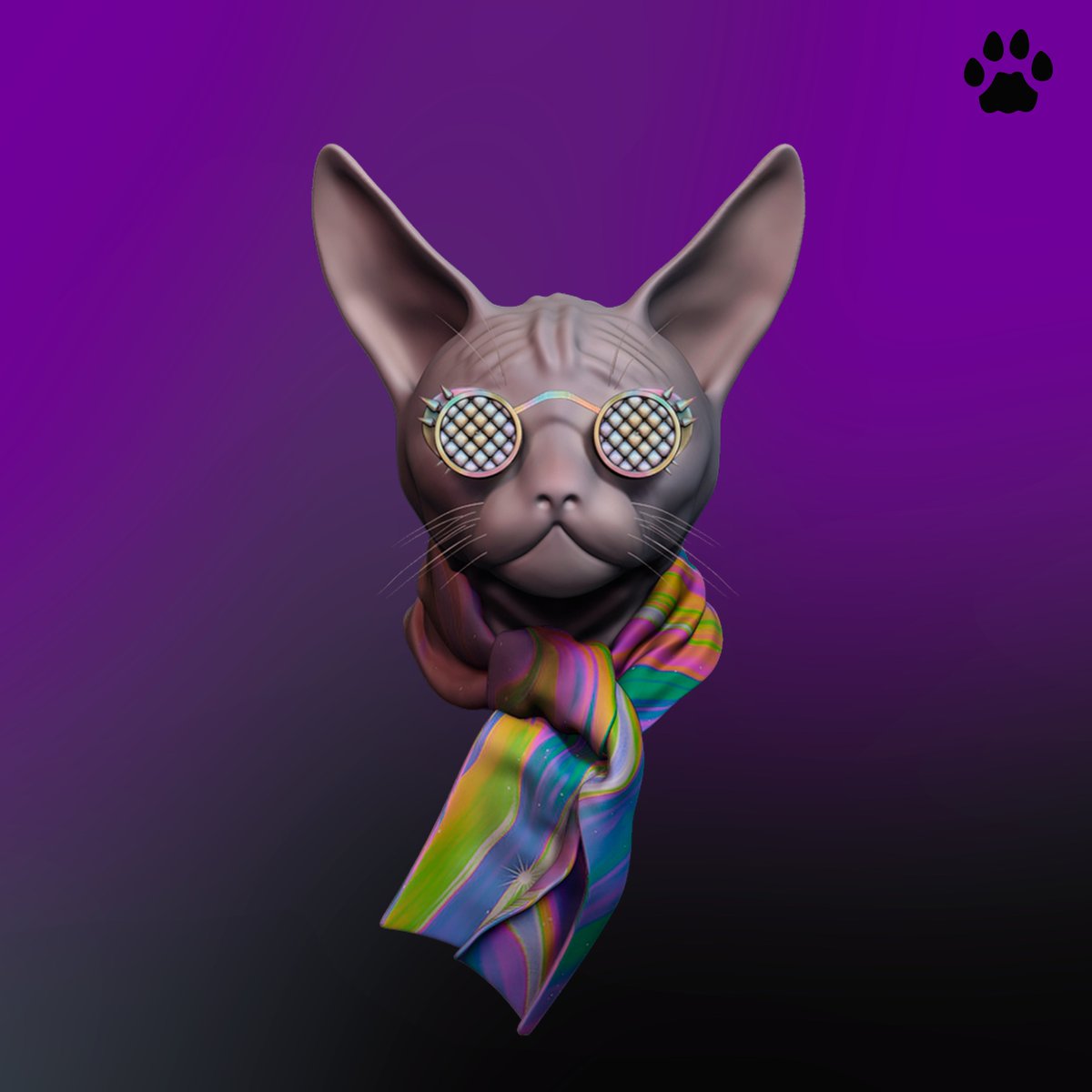 Collins Music Club tweet media