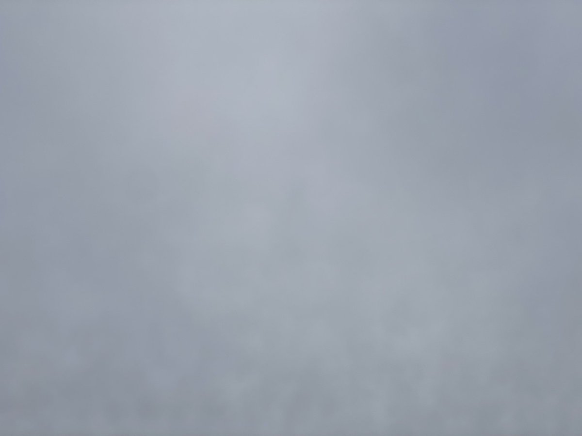 Kyle Constable tweet media