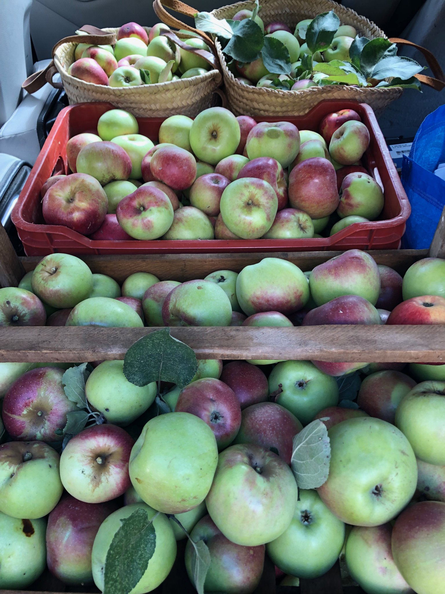 Carol Drinkwater on Twitter "When I am not writing, I am cooking
