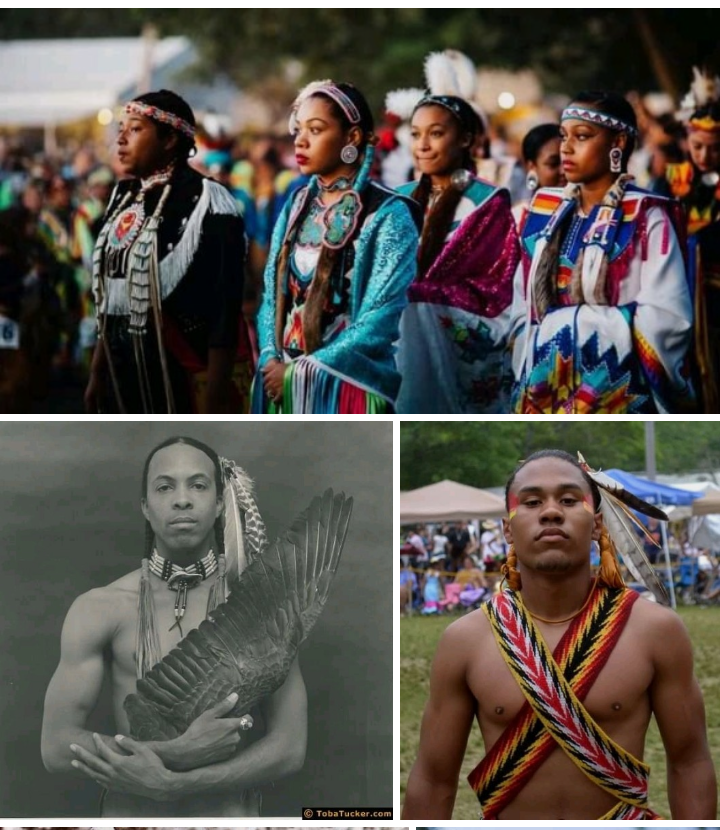 jamjambrazil's tweet photo. In case you don't know what a #blacknative looks like or is here ya go and don't forget we still exist. We out here 
#nativestrong #afroindigenous #blacknativeamericans #afronative #NativeAmericans #IndigenousPeoples #blackandnative ❤️🖤💛 https://t.co/uq7GjAxeKp