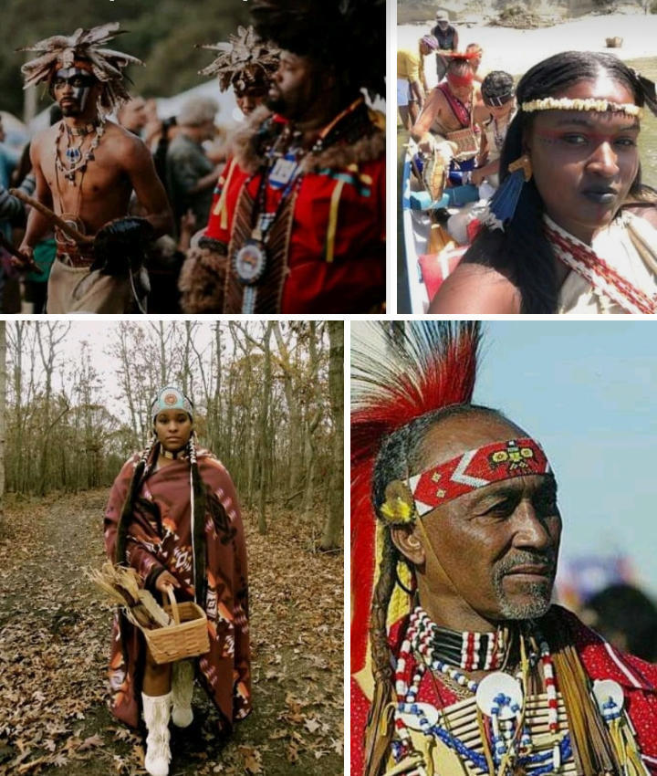 jamjambrazil's tweet photo. FYI In case you don't know what a #blacknative looks like or is here ya go and don't forget we still exist. We out here 
#nativestrong #afroindigenous #blacknativeamericans #afronative #NativeAmericans #IndigenousPeoples #blackandnative ❤️🖤💛 https://t.co/GzfaY9g7lq