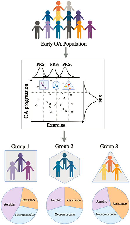 Can genetics guide exercise prescriptions in osteoarthritis?

👀👀👇👇

frontiersin.org/articles/10.33…