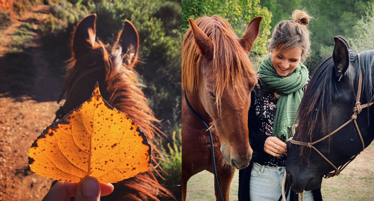 Let’s count the many reasons why this is the best horse season! cowgirlmagazine.com/why-cowgirls-l…