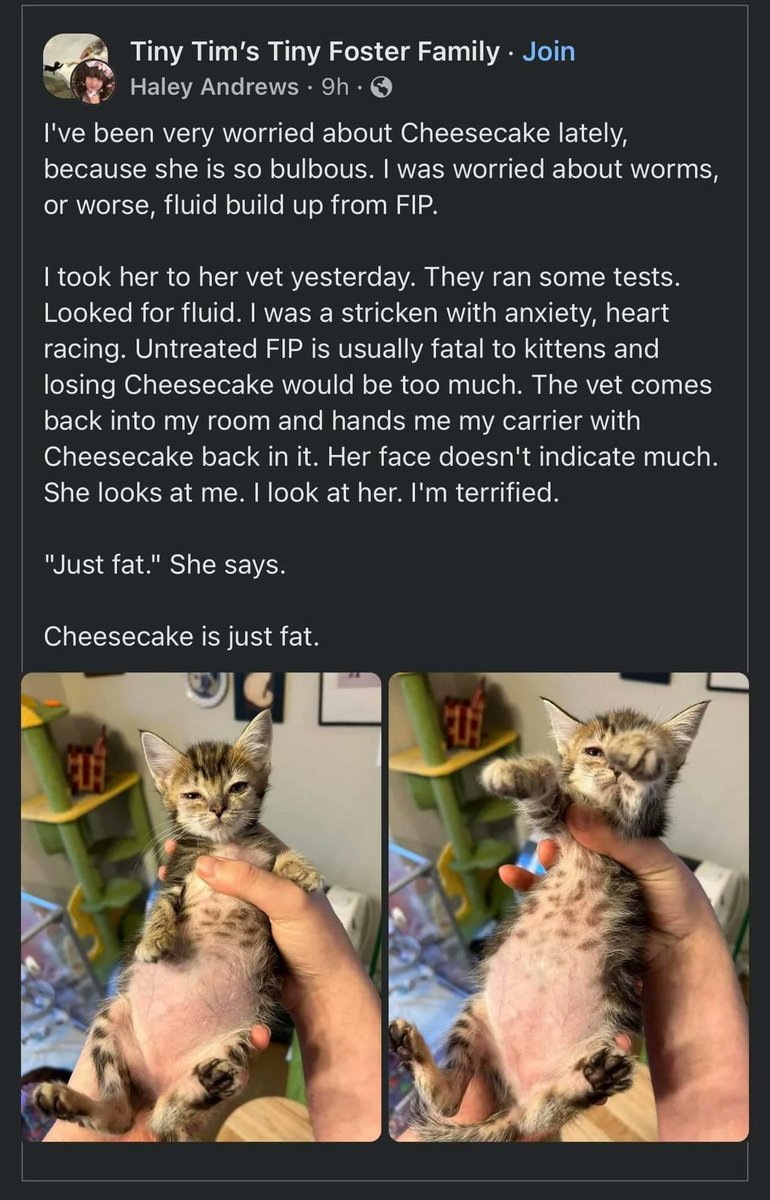 WholesomeMeme's tweet image. 