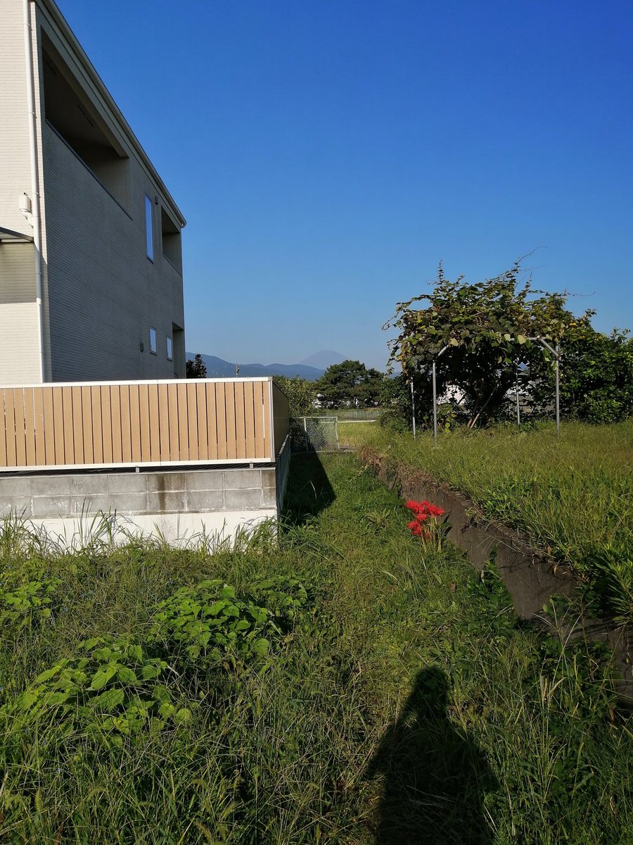 会社の敷地と駐車場が離れてるので、車を停めた後、舗装道は通らず、裏道、農道を歩いてます。