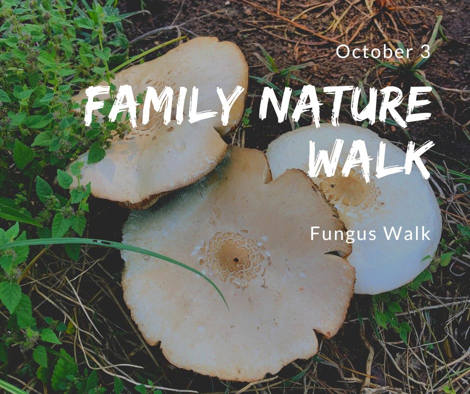 TXChildrenInNature tweet media