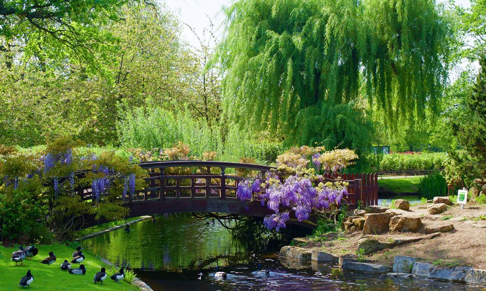 TRA PARCO E MUSEI, NON SOLO PICCIONI...LA FAUNA IN CITTA'
Articolo di Evelyn Nericcio - clicca qui per saperne di più : tinyurl.com/2p9xuc6e