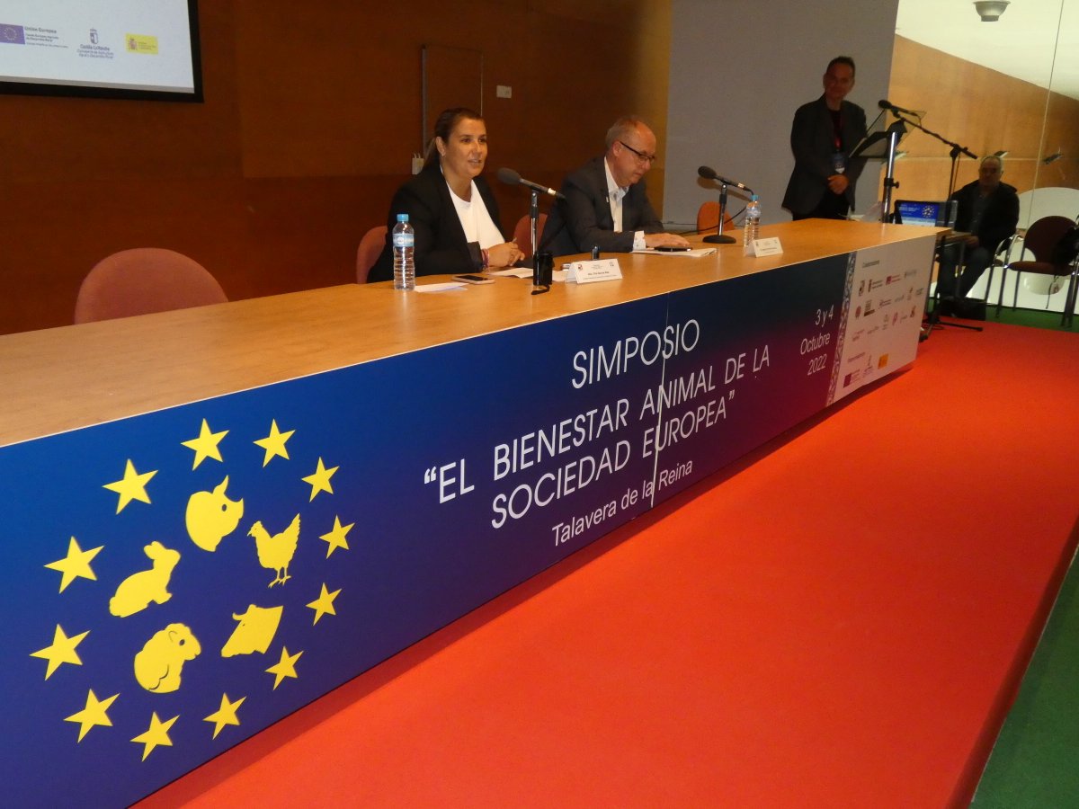 TitaElez's tweet photo. #TalaveraDeLaReina ha recuperado su #espíritu para volver a convertirse en el centro del estudio en bienestar animal, como sede del #Simposio sobre #BienestarAnimal en la #SociedadEuropea. El conocimiento de expertos para optimizar las explotaciones del sector. @gobjccm https://t.co/RoHWTlvDtO
