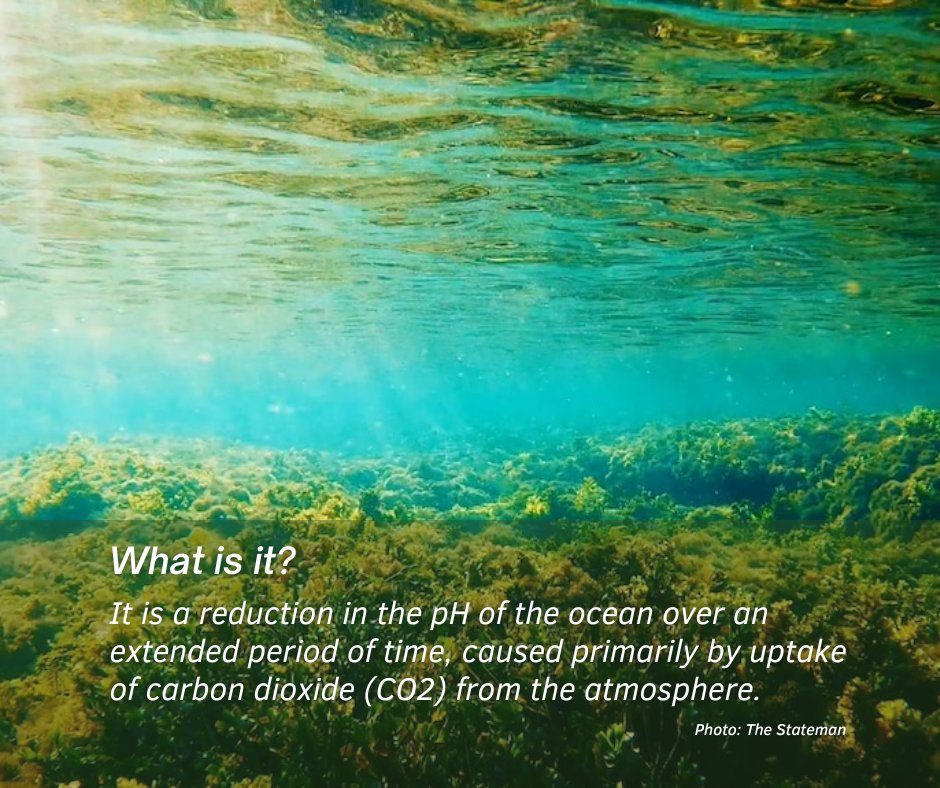 IMAgovTT's tweet photo. To learn more, visit our website at https://t.co/RcY99aGW1R
Or download our e-newsletter at https://t.co/IekuWI8KcA
#oceanacification #acidocean #climatechange #pollulatedocean #waterpollution https://t.co/nmW7I5BdXX
