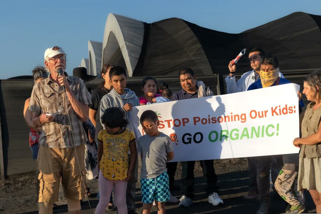 LookoutSCruz's tweet photo. Pressure building on pesticides, Driscoll’s says it will consider organic-only by schools https://t.co/wwvtG00HVz via @MarkConley on community groups' efforts to sway @driscollsberry on chemical use near #Watsonville neighborhoods https://t.co/3IqCkNTomZ