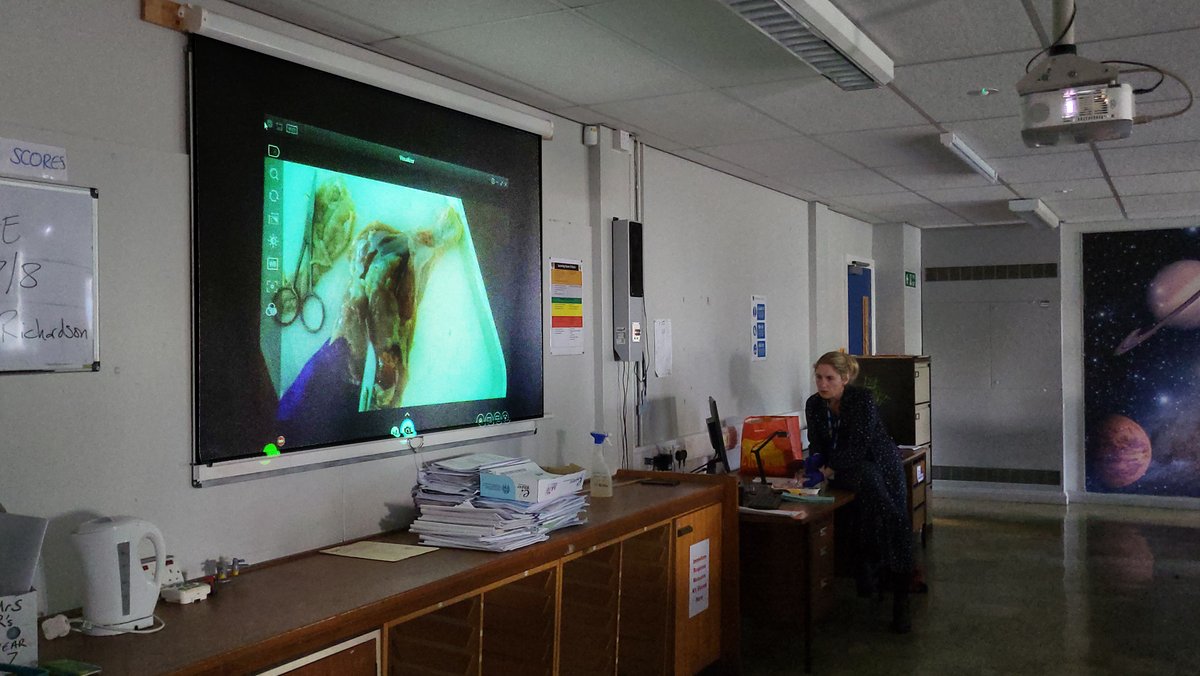 Today in Science Year 7 were learning about tendons and ligament, what their jobs are, how they differentiate from each other and support each other to make our body function.

Once these key terms were understood by everyone in the class, the chicken leg dissection took place.