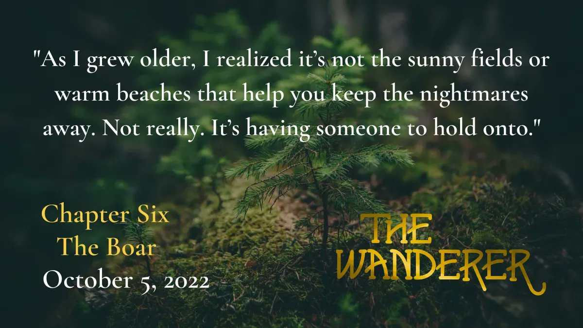 The Wanderer tweet media