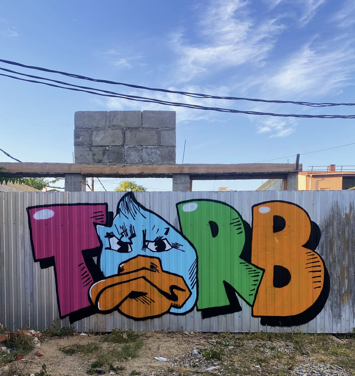 trbkwsk's tweet photo. Monday 🦆
#graffiti #streetart #nft #nftart https://t.co/QhIlLcmDpL