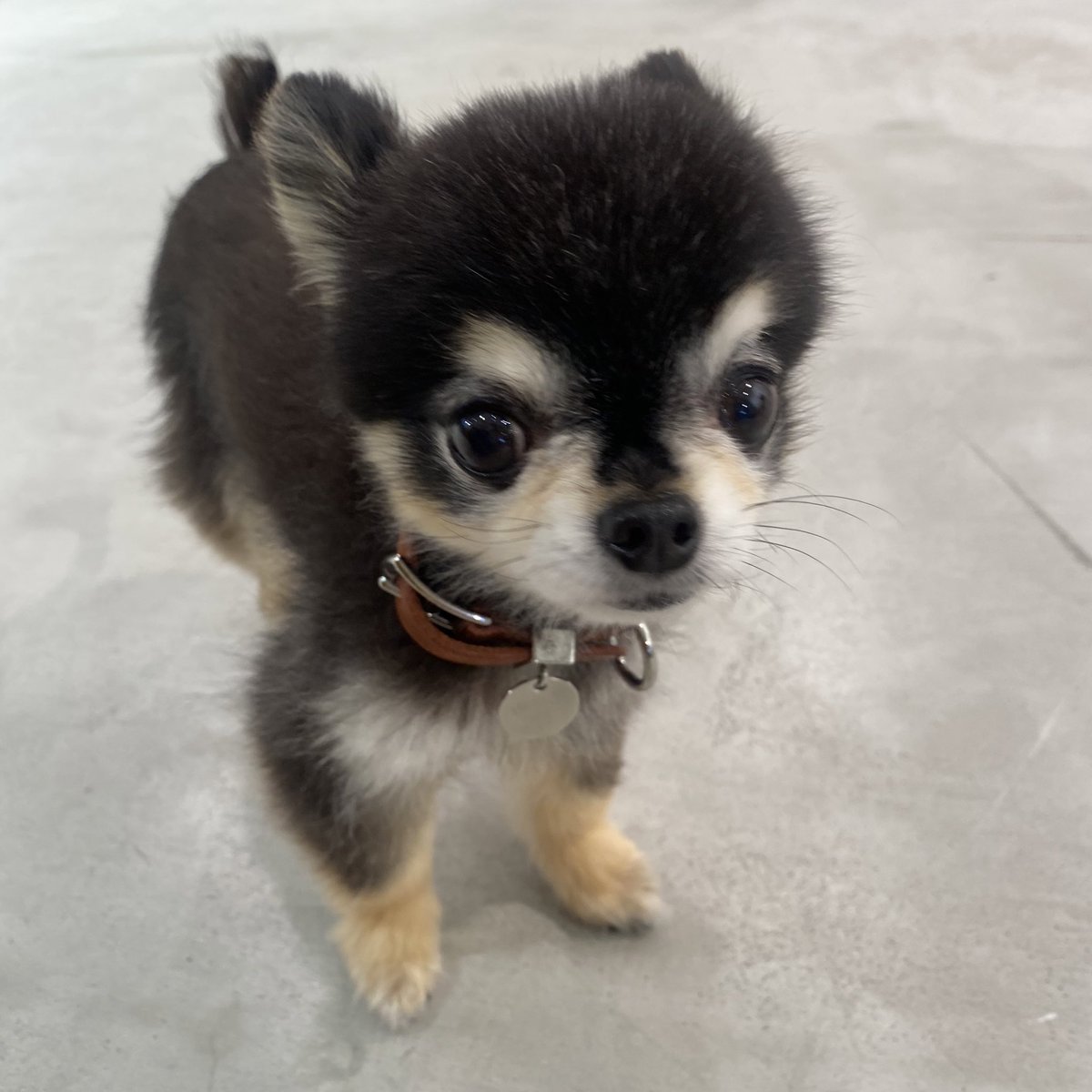 0910chi's tweet photo. んんんあぁア゛ https://t.co/HMcq1cTTXj
