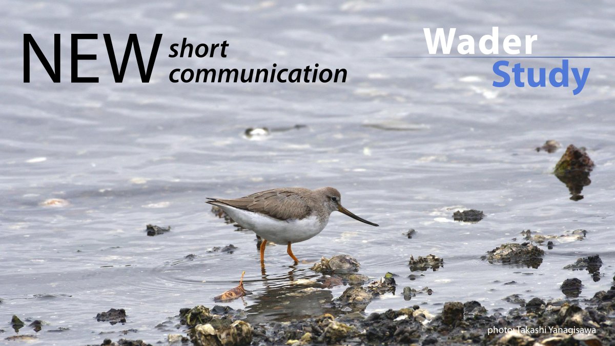 Short communication by Madhumita Panigrahi et al.: Additions to ring resightings and recoveries of migratory shorebirds at Marine National Park and Sanctuary, Gujarat, India waderstudygroup.org/article/16279/ #ornithology #waders #shorebirds