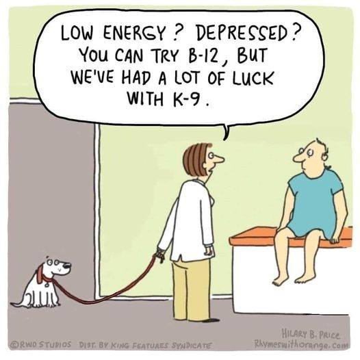 Happy Monday!🐶
#dogsrock #valuepetsupplies