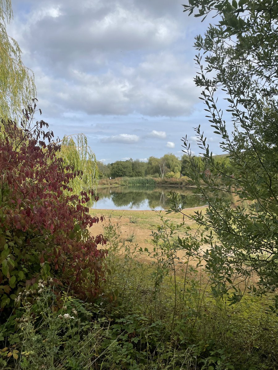 «L’#autunno è la primavera dell’inverno.» 

#citando Henri de Toulouse-Lautrec, pittore francese (1864-1901)