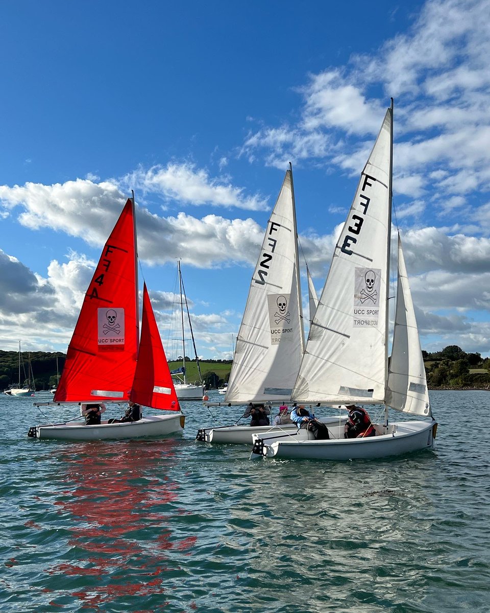 UCC Sailing Club tweet media