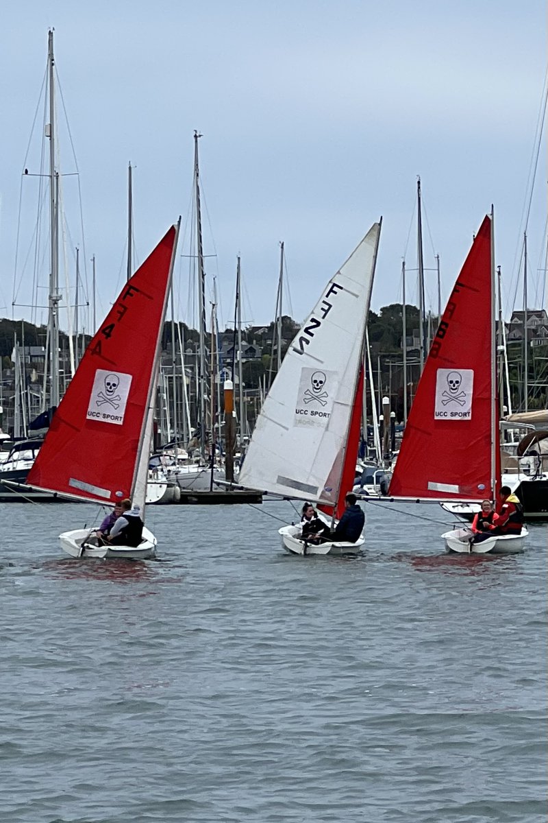 UCC Sailing Club tweet media