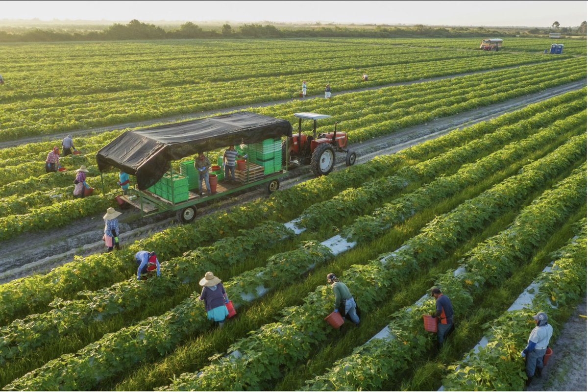 Misatokenid's tweet photo. #DidYouKnow😏 With #Misatoken you can buy
👩🌾Farmland
🗺️Limited edition Mining map
🌽A piece of corn farm
🌳A beautiful forest landscape
The possibilities are limitless: 😌😌😌 https://t.co/oqWODCOSw6
$Misa #Harvest https://t.co/m7iWjWvi5z