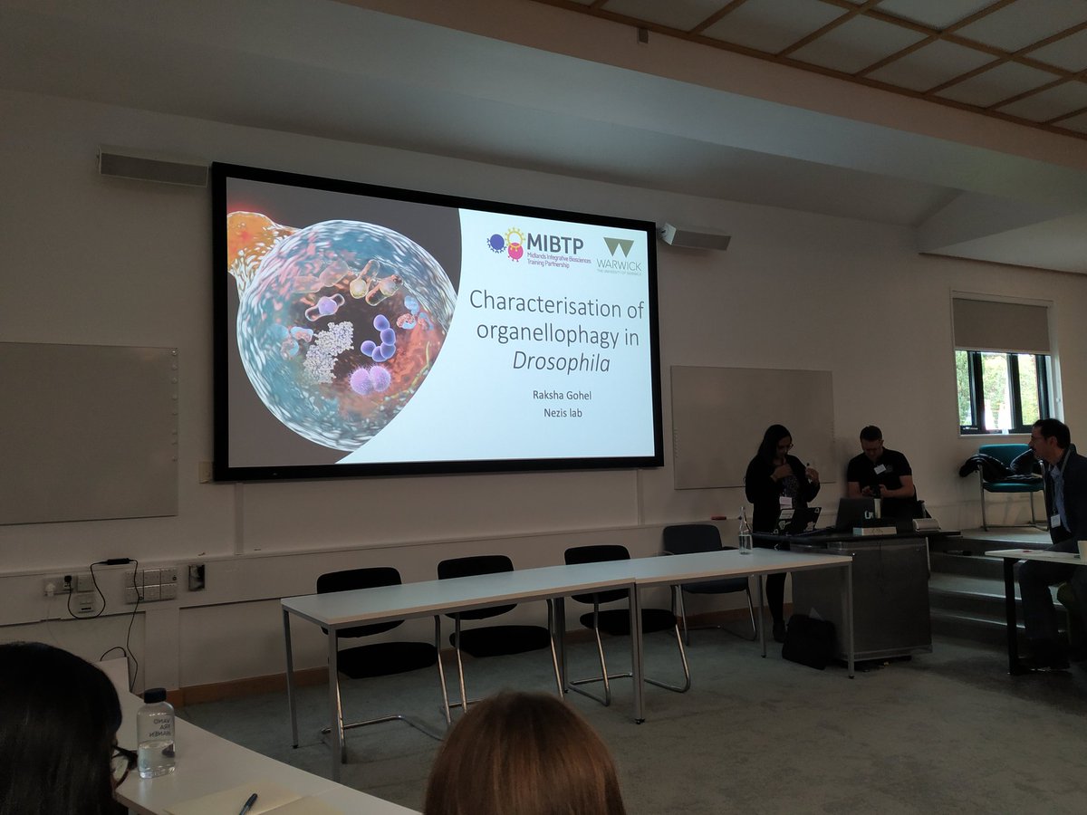 Juanaloca2002's tweet photo. Organellophagy in Drosophila by Raksha Gohel @NezisLab in the @autophagyuk meeting #GoFlies #WomenInAutophagy @WAutophagy https://t.co/FFKZ6t1TPS
