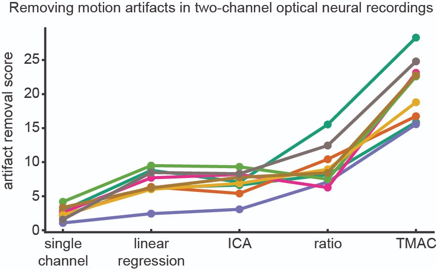 Matthew S Creamer (@nondairyc) on Twitter photo Do you perform optical imaging in behaving animals? An animal's behavior can introduce motion artifacts into fluorescent time traces. Our new method TMAC works by correcting artifacts *after* spatial alignment (1/4)
<a href="/jpillowtime/">Jonathan Pillow</a> <a href="/AndrewLeifer/">Andrew Leifer (@AndrewLeifer@bsky.social)</a> <a href="/kevinschen13/">Kevin Sean Chen</a>
doi.org/10.1371/journa… Do you perform optical imaging in behaving animals? An animal's behavior can introduce motion artifacts into fluorescent time traces. Our new method TMAC works by correcting artifacts *after* spatial alignment (1/4)
<a href="/jpillowtime/">Jonathan Pillow</a> <a href="/AndrewLeifer/">Andrew Leifer (@AndrewLeifer@bsky.social)</a> <a href="/kevinschen13/">Kevin Sean Chen</a>
doi.org/10.1371/journa…