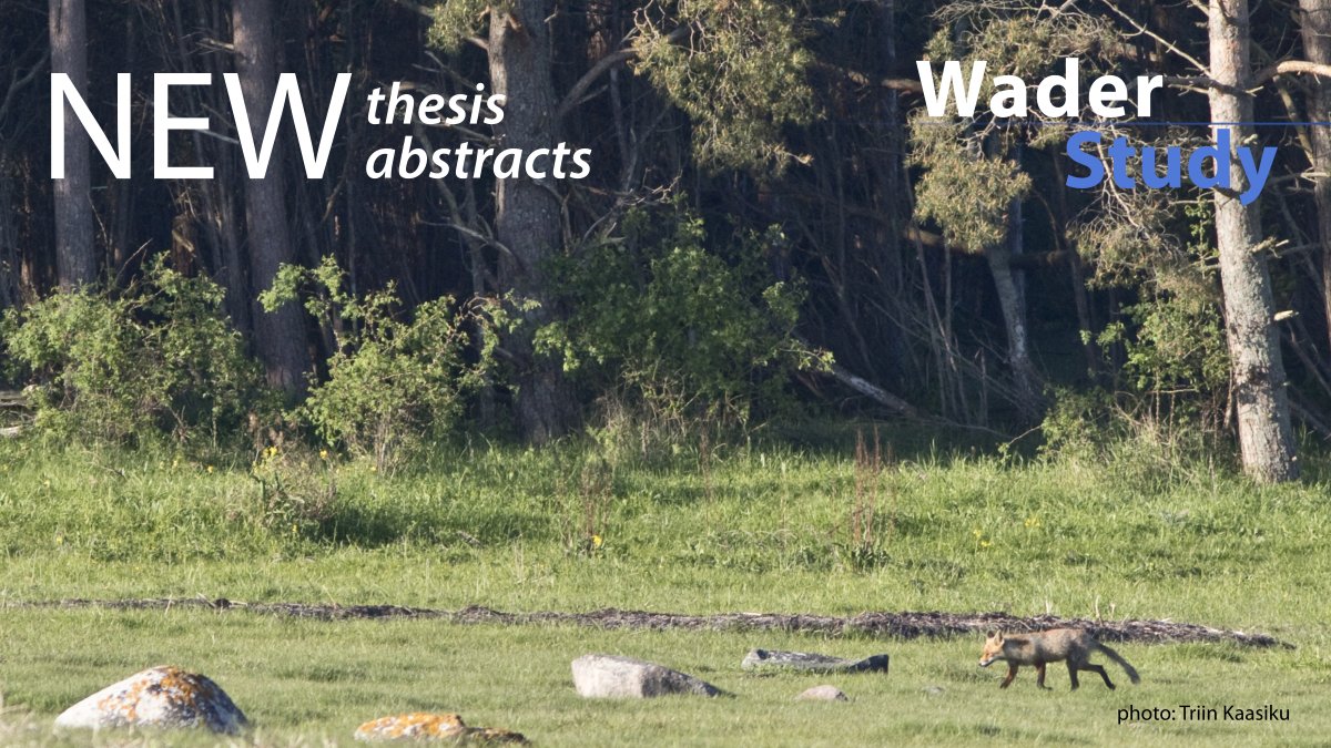 Thesis Abstracts: A wader perspective on Boreal Baltic coastal grasslands: from habitat availability to breeding site selection and nest survival Effects of land conversion in sub-Arctic landscapes on densities of ground-nesting birds waderstudygroup.org/article/16451/ #waders #shorebirds