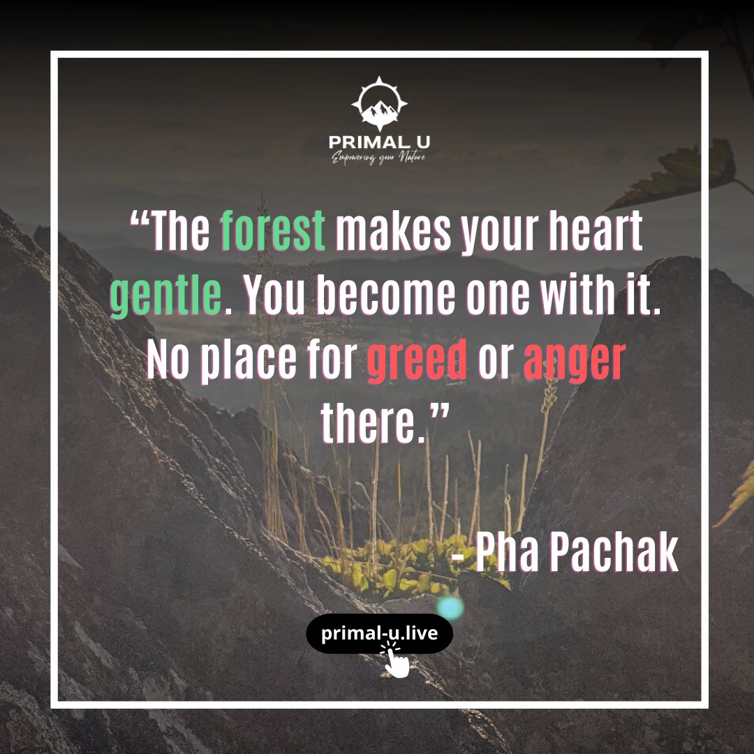 “The forest makes your heart gentle. You become one with it. No place for greed or anger there.” – Pha Pachak

The forest is not a place of work, but a place of rest. 

Let the forest be a refuge– Discover the power of nature to elevate your mood and spirit.