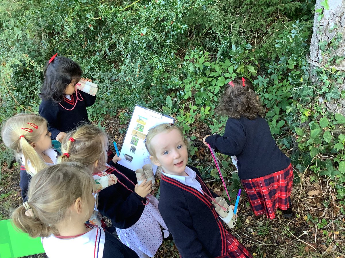 TH Kindergarten tweet media