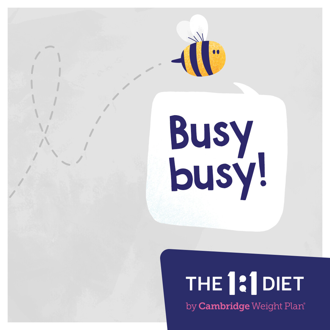 VictoriaMcwp's tweet photo. Are you too busy to diet and worried about all the meal prepping? The 1:1 Diet is really simple, easy to follow, ready to go… plus you'll have me to support you! Get in touch. #One2OneDiet https://t.co/yI9QmACqVV