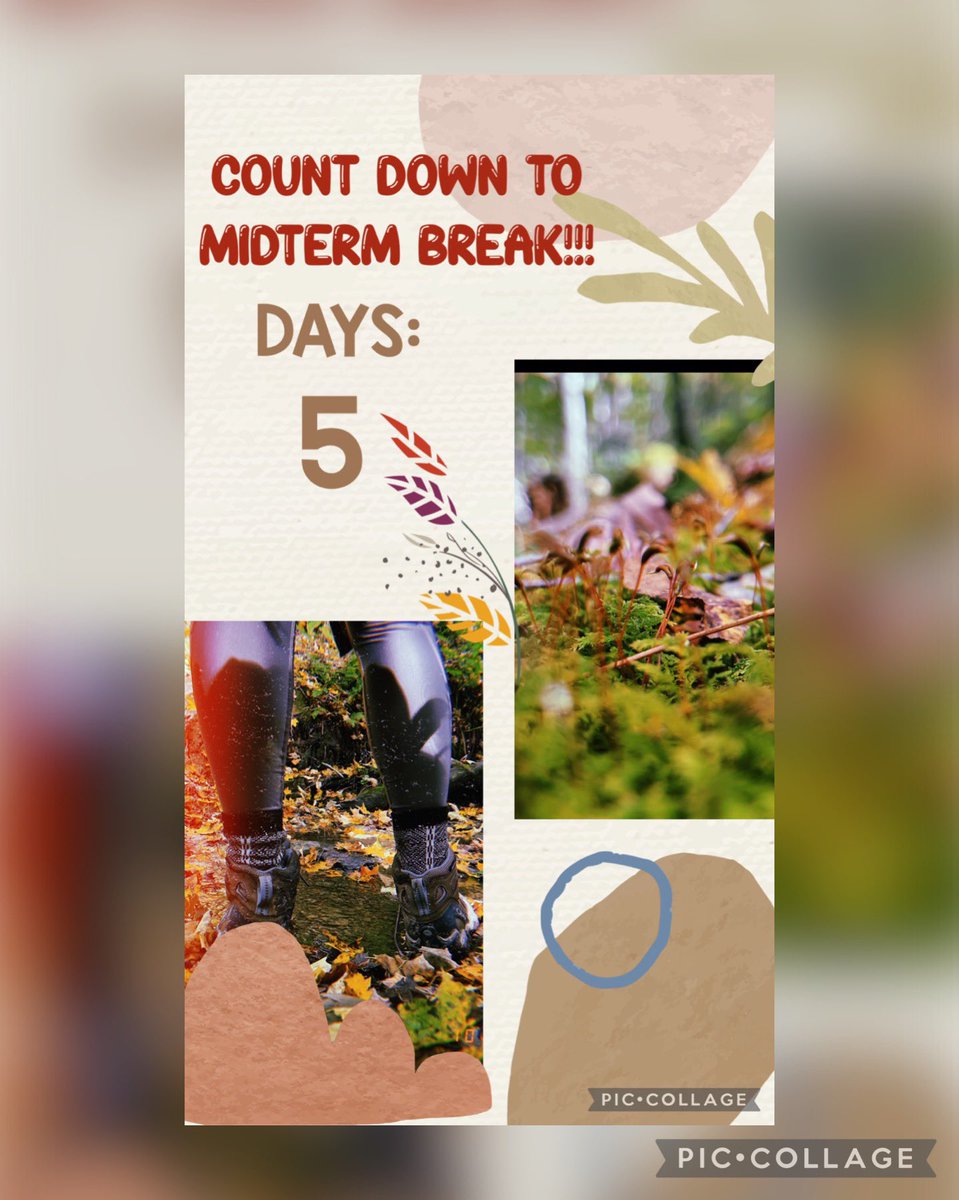 bonavets's tweet photo. The bona-vets are counting down the days till our midterm break. Today we start. DAY 5 https://t.co/3FSdhxlvit