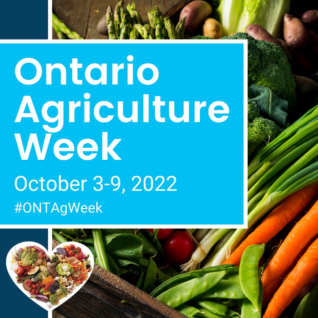 freshfromfarmON's tweet photo. It's #ONTAgWeek where we celebrate Ontario farmers, the food they produce and all the people along the agri-food supply chain that make it happen. With so many choices this time of the year, what are some of your favourites?
#loveONfood https://t.co/ulbKy1XtQJ