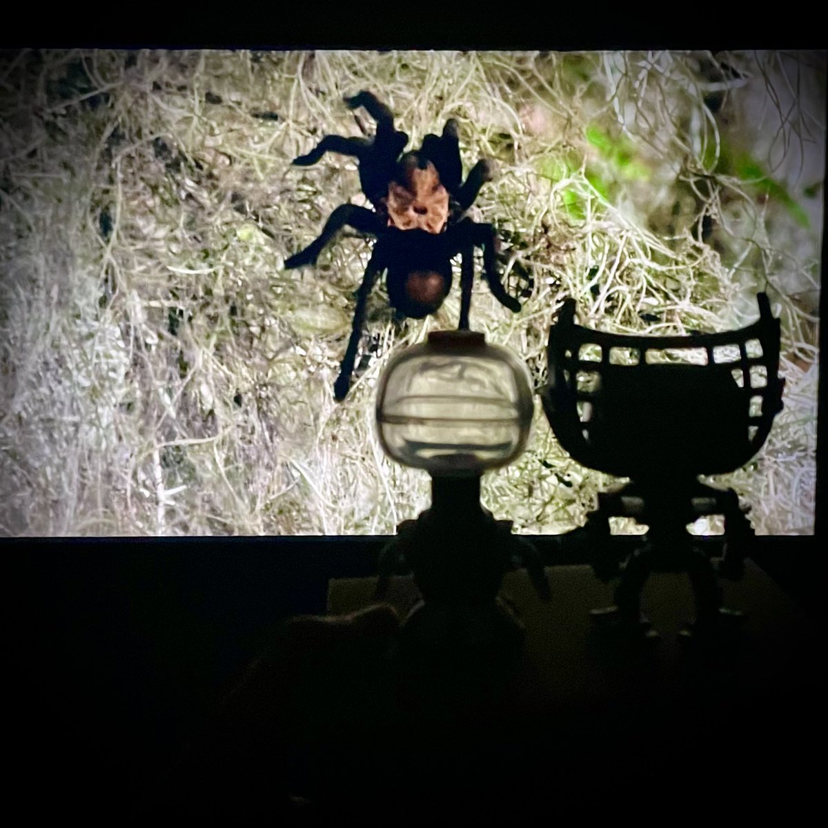 CollectorClint's tweet photo. “Oh no! Watch out. A Spider! You’re all dead! ahh!” 

Glad you are enjoying #MovieNight #CrowTRobot and #TomServo (of #MST3K), but calm down. 

(Can anyone guess the movie they are watching?)

#FunkoPhotoADayChallenge #FunkoPop #Funko https://t.co/cCXqTfBdar