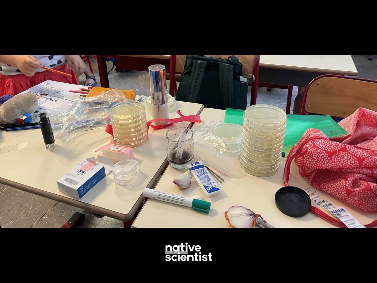 See what our students learned at the #Portuguese #workshop in #Paris this month with @MartaLourenco21 - bit.ly/NSWorkshop-Por… Thank you to all participants and to our partners. #DiversityInSTEM #STEM #SciComm #NativeWorkshop