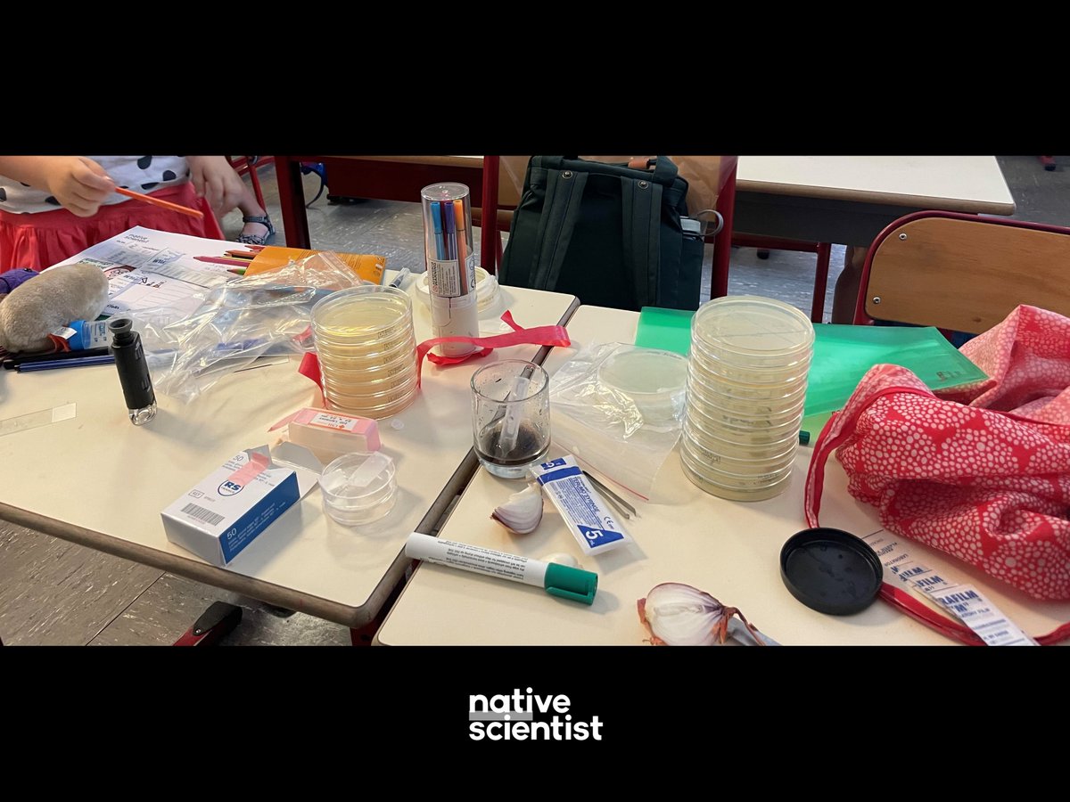 NativeScientis1's tweet photo. See what our students learned at the #Portuguese #workshop in #Paris this month with @MartaLourenco21 - https://t.co/kD6n34XWqM
Thank you to all participants and to our partners.
#DiversityInSTEM #STEM #SciComm #NativeWorkshop https://t.co/HvDAosu6bS