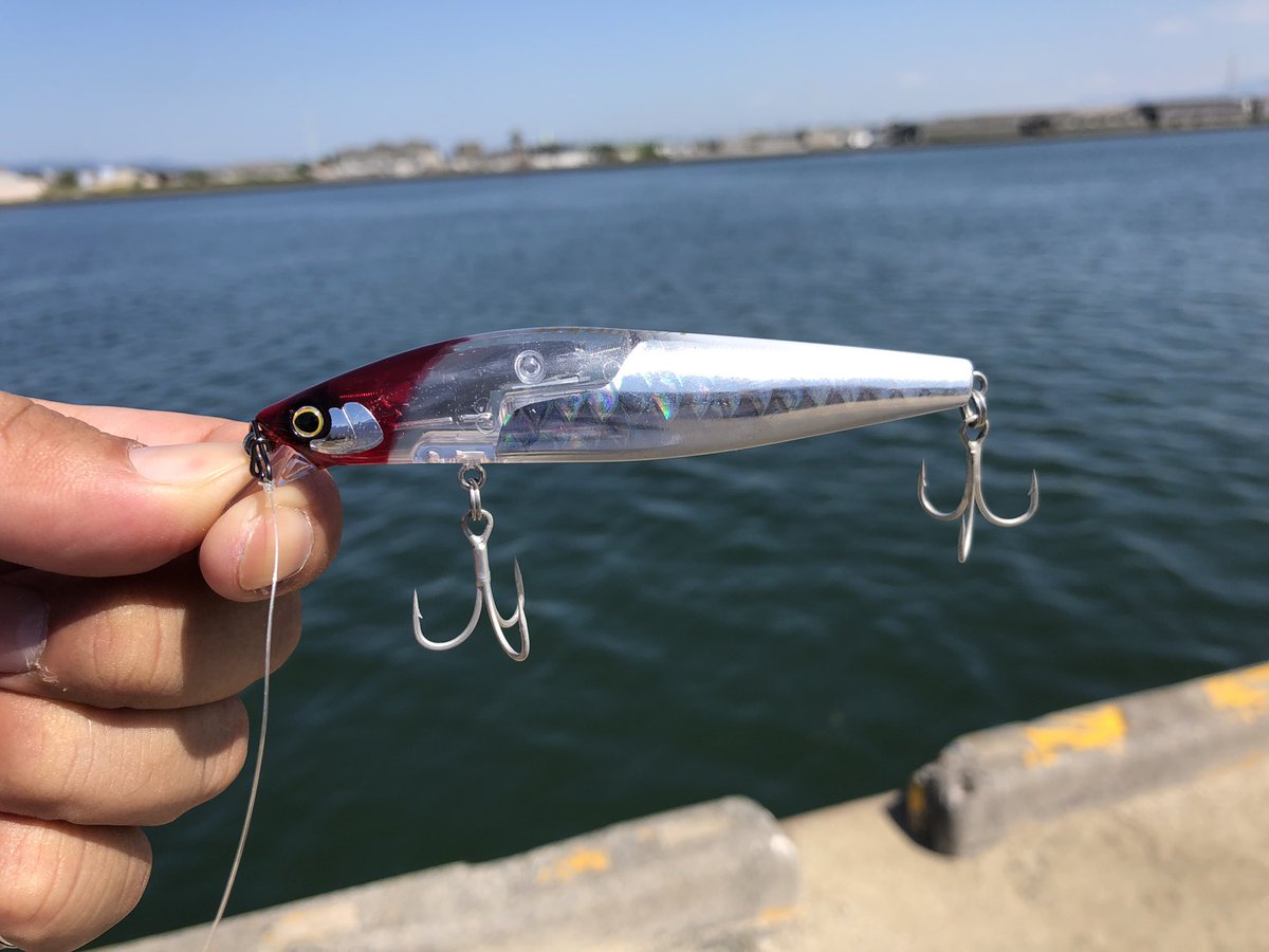 びったれアングラー tweet media