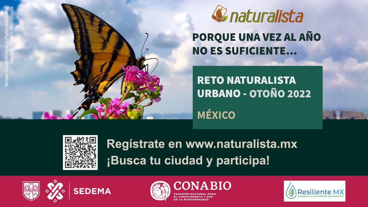 Se les invita a participar en el Reto Naturalista Urbano Otoño 2022, se realizará del 7 al 18 de octubre del presente. 
 naturalista.mx