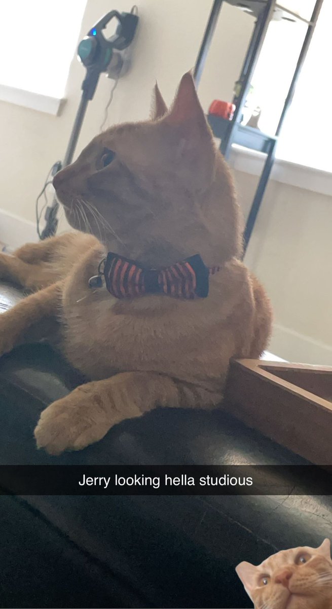 YungUrinalCake's tweet photo. Distinguished young gentleman https://t.co/91ppZM9kiy