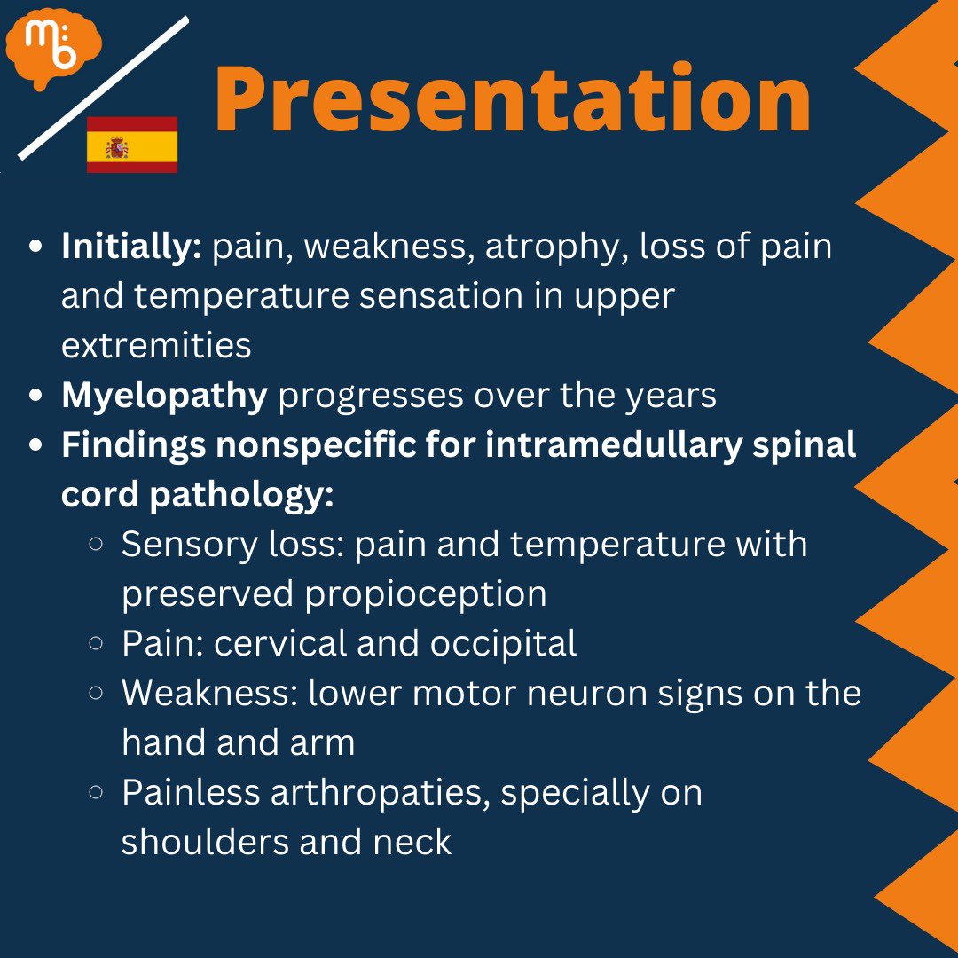 Mission:Brain Complutense tweet media