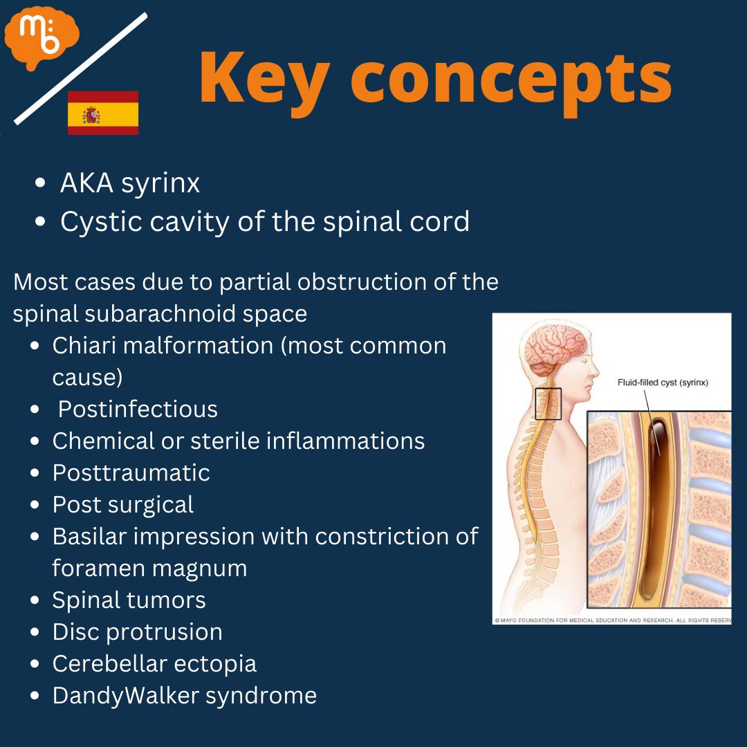 Mission:Brain Complutense tweet media