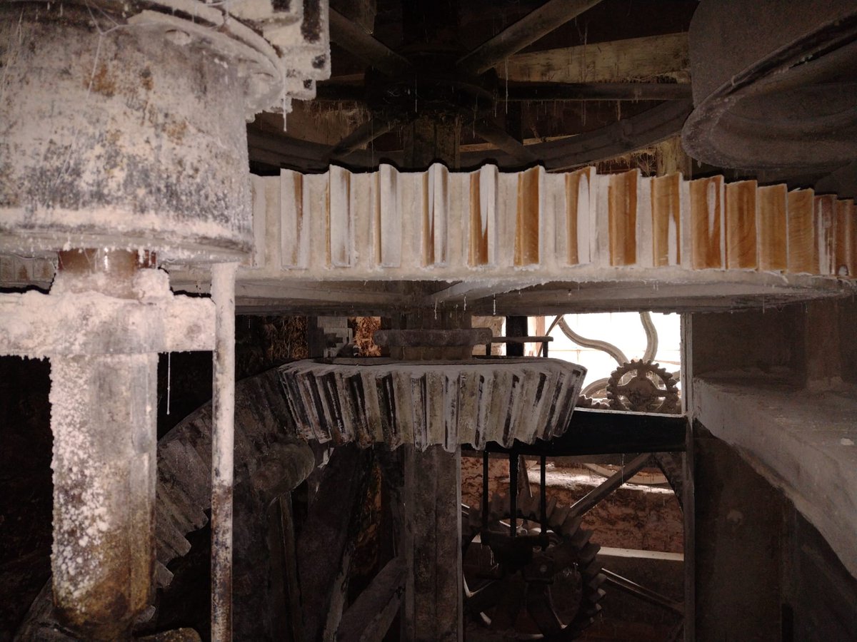 Golspie Mill tweet media