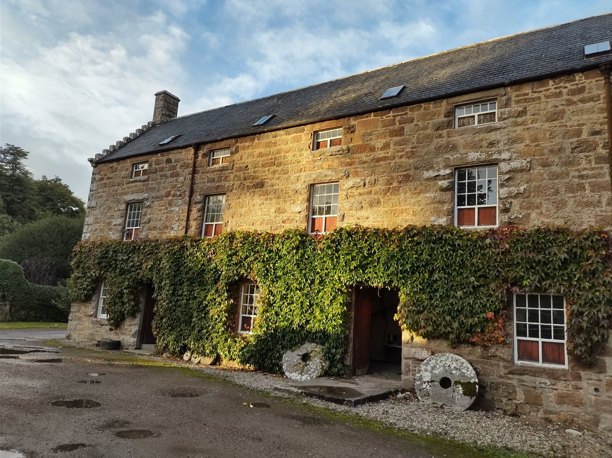 Golspie Mill tweet media