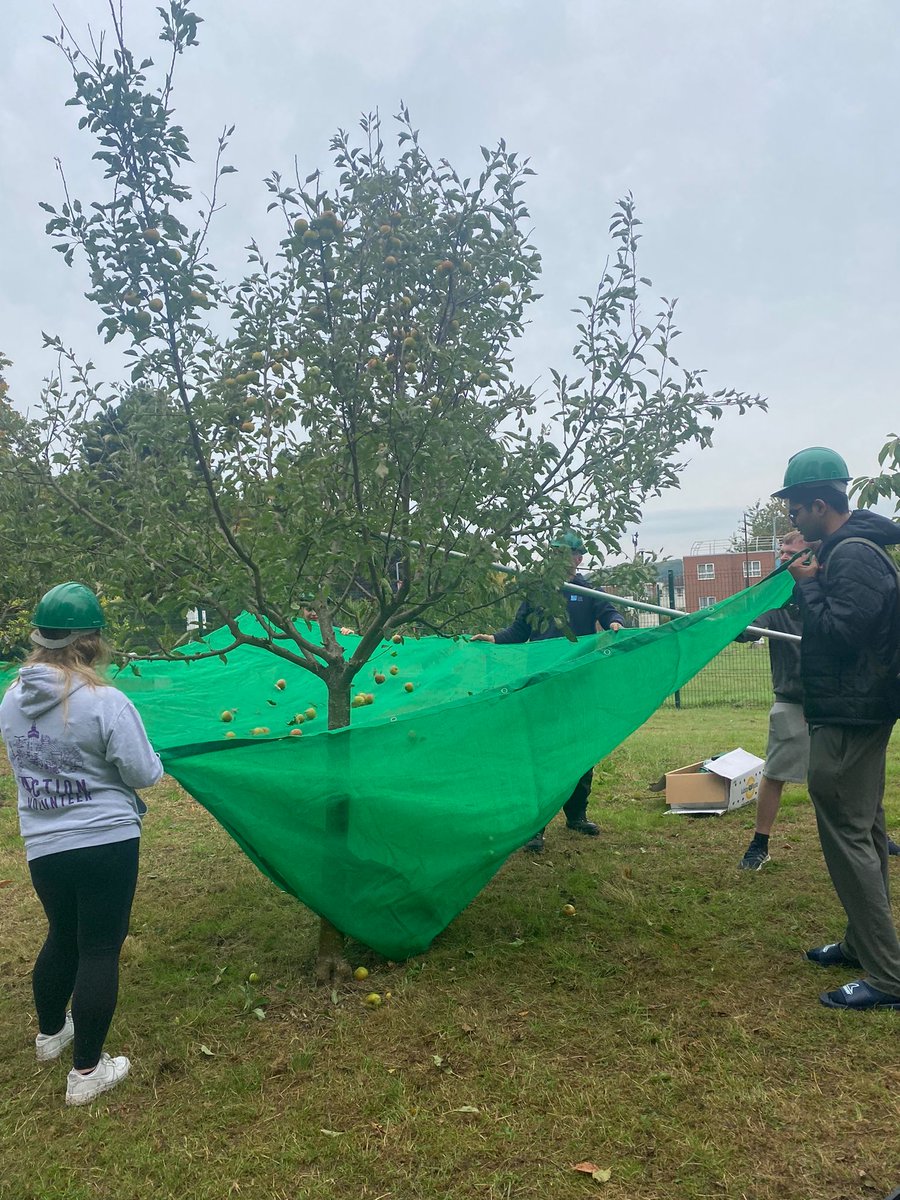 Ellie Southern tweet media