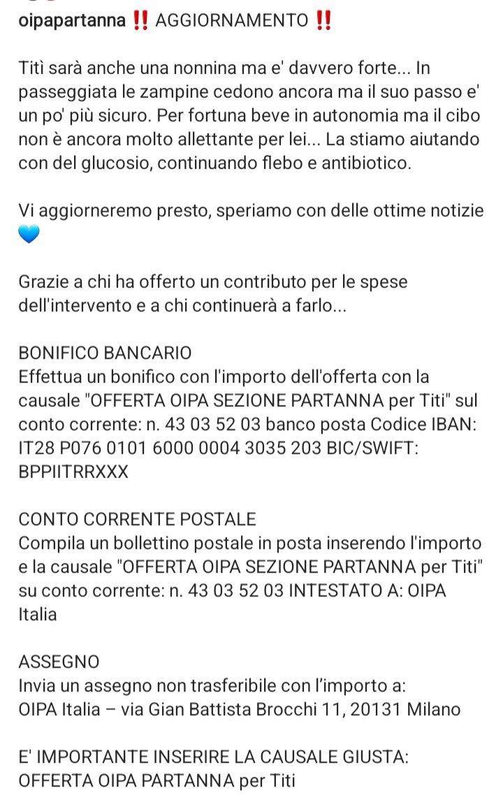 URGENTISSIMO🆘🆘🆘🆘🆘🆘Info prof🐕 oipa.org/italia/contatt… 🐕facebook.com/oipapartanna/p… TITTI E UNA NONNINA MERAVIGLIOSA,RICOVERATA URGENZA,SUBITO INTERVENTO,AIUTIAMOLA HA BISOGNO DI SOSTEGNO E DI UNA FAMIGLIA E TANTO AMORE #4voiceless 🙏🏡😔Partanna (TP)