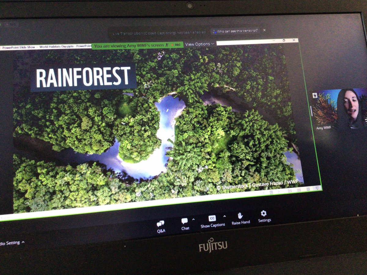 GreenwayPrimary's tweet photo. Year 4 and Mr Nicholas are delighted to announce we are now sponsoring a Jaguar from the Amazon Rainforest with @wwf_uk . We also had a fantastic webinar in collaboration with @wwf_uk &amp; @STEMLearningUK. We learnt the importance of protecting our habitats. 🌍🌎💧@CSCJES #ethical https://t.co/c9xGuoUbJp