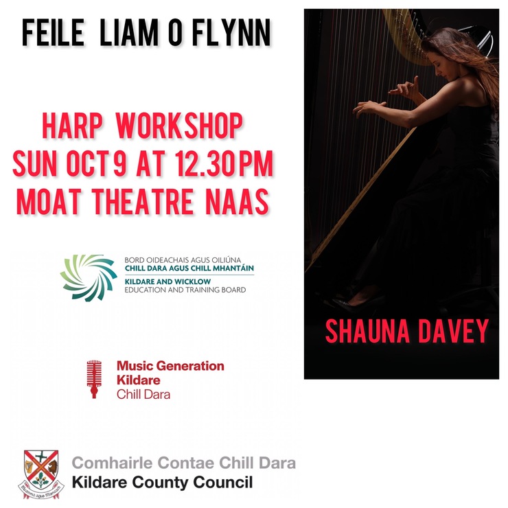 We're really looking forward to these two fantastic workshops by our Musician Educators, Brian Hughes and Séana Davey, as part of the <a href="/feileliamoflynn/">feileliamoflynn</a> on 9 October at <a href="/moattheatre/">The Moat Theatre & Café</a> ! 🤩 
🗓 Places are limited so be sure to register as soon as possible at the links! 🎶