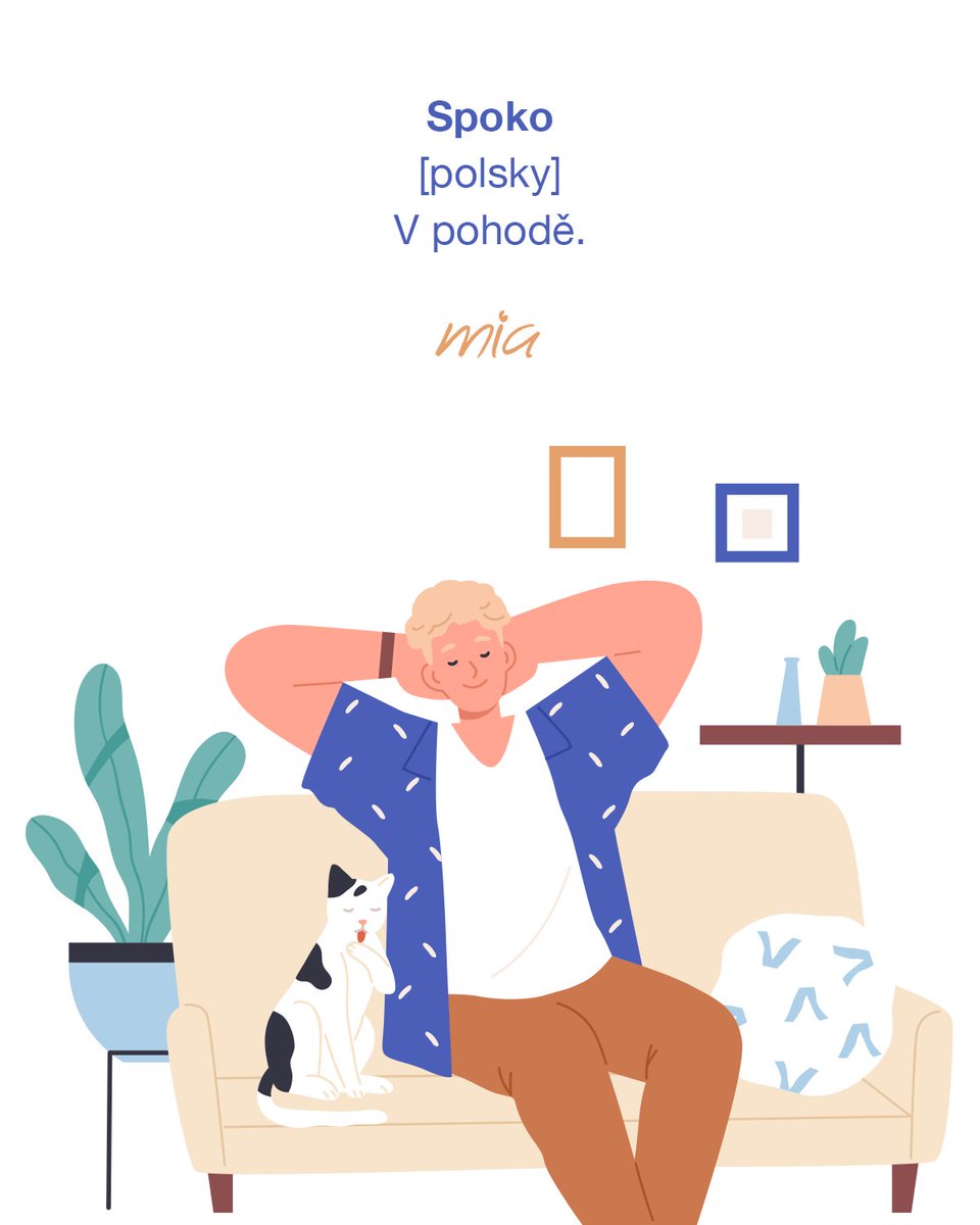 miatranslate's tweet photo. Když vám Čech řekne, že je spoko, je spokojený (a taky trochu przní češtinu). Pro Poláky to znamená: „Žádný problém,“ „Žádné strachy,“ nebo „V pohodě, nic se nestalo.“ https://t.co/af5vyzdIgr