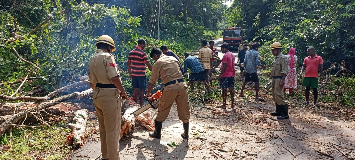 FireService_ANP's tweet photo. On 3.10.22 #FSBaratang  swiftly removed the tree which had fallen on the roadside electric pole at ATR road near Petrol Pump, Krishna Nagar and cleared the traffic blockage.
@MediaRN_ANI 
@DGPANIslands 
@Andaman_Admin https://t.co/Qe7icFFE5l