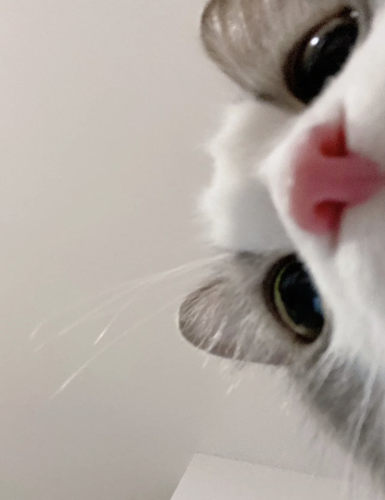 piinkimi_'s tweet image. 